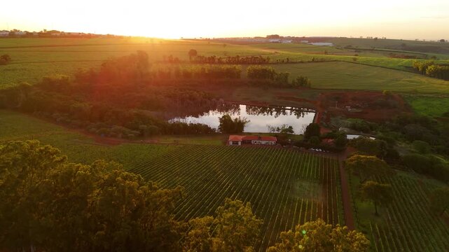Vin&iacute;cola no Brasil vista por drone ao p&ocirc;r do sol, com lago ao lado, natureza exuberante,  vinhedo iluminados pela luz dourada. Beleza rural, clima tranquilo e paisagem cinematogr&aacute;fica