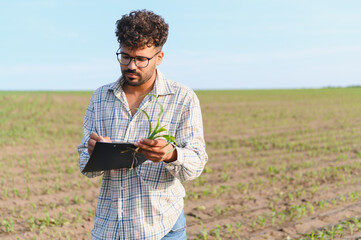 Agronomist inspecting and taking notes on corn crop in field