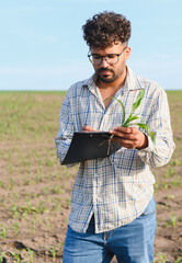 Agronomist inspecting corn seedling growth in field