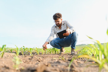 Agronomist examining corn crop with digital tablet in field