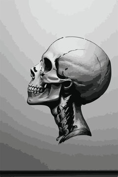 skull and crossbones