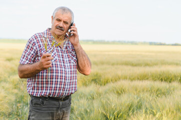Senior farmer using mobile phone in wheat field