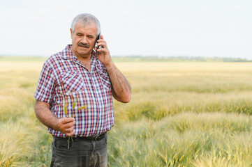 Senior farmer using smartphone and inspecting wheat field