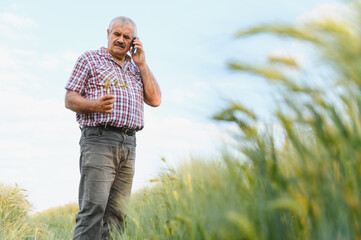 Senior farmer using mobile phone and inspecting wheat field