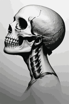 skull and bones