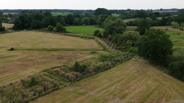 Dragons teeth of the Siegfried line. World war 2, monument. Barrier against armored vehicles. Aerial view.