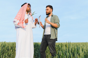 Arab businessman and farmer discussing in wheat field