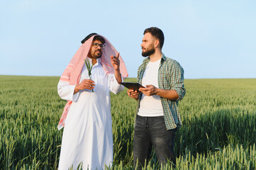 Arab businessman and farmer discussing in wheat field