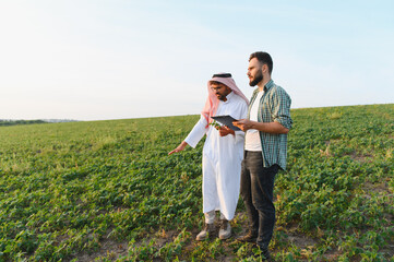 Arab businessman and farmer discussing crops in cultivated field