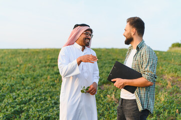 Arab businessman and farmer discussing in cultivated field