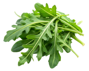 fresh spinach leaves isolated on white background. PNG Transparent file type with high definition quality And vibrant color grading Available.