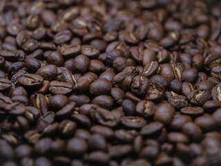 Coffee Bean Collection Background Texture