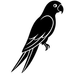 Fototapeta premium Stylized black silhouette of a parrot perched on a white background