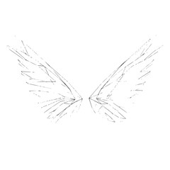 Minimalist monochromic line art illustration of wings made of paper plain white background