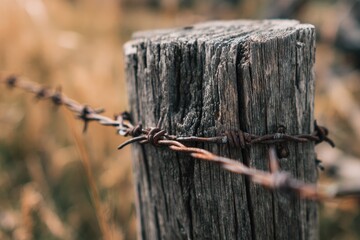 Weathered wooden fence post with rusty barbed wire