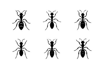 ant silhouette vector art set illustration.