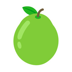 Simple illustration of a ripe green guava fruit with a leaf and stem