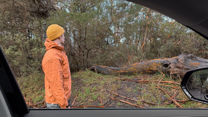 Teenage boy looking at fallen tree trunk in bush with orange jacket and beanie in winter