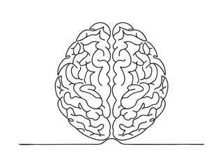 Minimalist line art of a human brain, isolated on a clean white background
