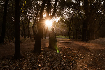 Man enjoys stunning forest sunrise. Sitting on a log admiring natural forest. Peace, chill and calm...