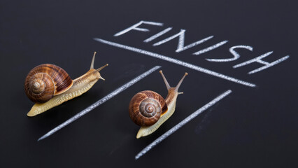 Funny snail race concept, two snails at chalk finish line, slow competition, humorous metaphor of slowness and patience, creative idea on black background