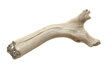 Weathered wood branch natural texture driftwood