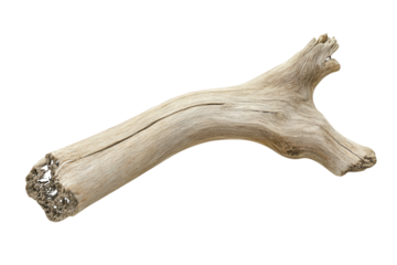 Weathered wood branch natural texture driftwood