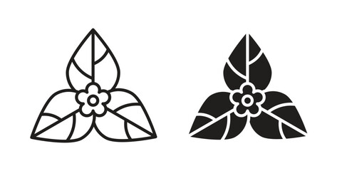 Bougainvillea icon concept for infographic, website or app.