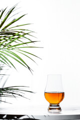Single malt scotch whisky resting in a glencairn glass beside a lush green plant indoors in a well-lit setting
