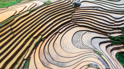 	
Hmong farmers prepare their fields and plant rice on terraced fields in Mu Cang Chai, Yen Bai....
