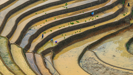 	
Hmong farmers prepare their fields and plant rice on terraced fields in Mu Cang Chai, Yen Bai....