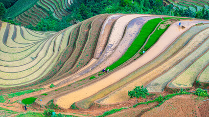 	
Hmong farmers prepare their fields and plant rice on terraced fields in Mu Cang Chai, Yen Bai....