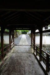 東福寺界隈