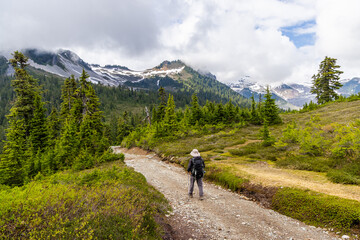 Hiker Exploring the Scenic Elfin Lakes Trail in Squamish, BC, Canada