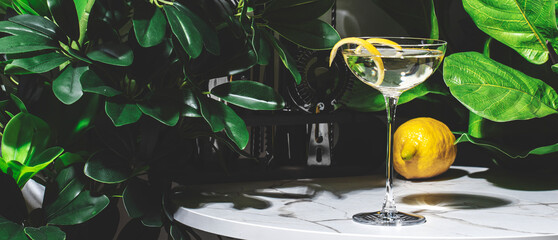 Timeless martini cocktail featuring gin and dry vermouth served elegantly with a twist of lemon peel