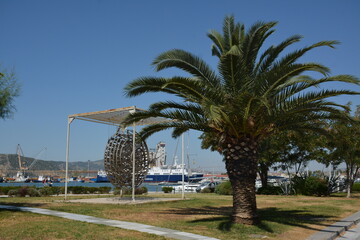 Neatly trimmed palm trees grow on lawns near the seaport in the city of Volos, Greece