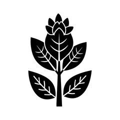 Blackandwhite plant illustration with symmetrical leaves and a flower bud at the top