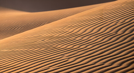 Sand Dunes Display Ripples and Shadows in the Desert Landscape at Golden Hour Light