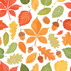 Fototapeta premium Colorful autumn leaves and acorns scattered across a white background, creating a pattern.