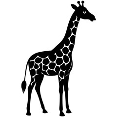 Naklejka premium giraffe vector illustration