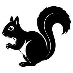 squirrel on a white background