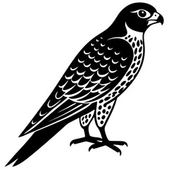 bird of prey