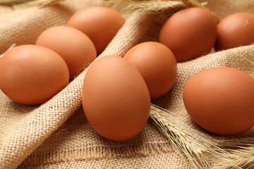 Fresh eggs and spikes on burlap cloth, closeup