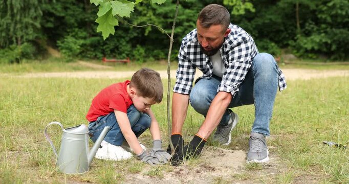 Father and his son planting tree into soil outdoors. Camera moving down