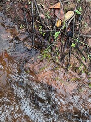 Fototapeta premium It's image features a muddy or earthy ground with some small water flow visible at the bottom left corner. 