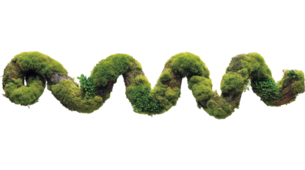 detailed jungle vine covered in lush moss with damp forest texture isolated on transparent background