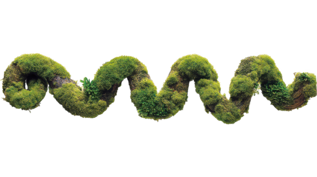 detailed jungle vine covered in lush moss with damp forest texture isolated on transparent background