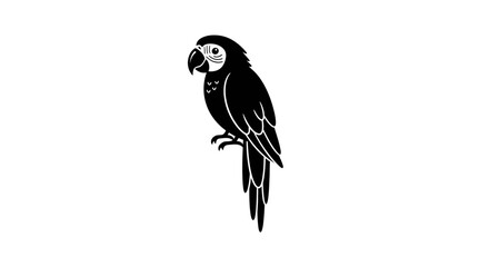 Fototapeta premium Vector black parrot illustration vector drawing of tropical bird macaw exotic animal silhouette design graphic art print