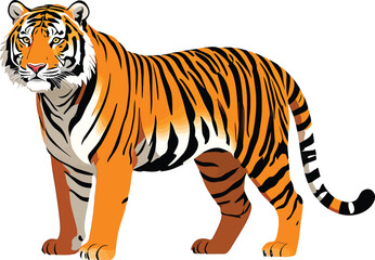 Obraz premium Cute cartoon a illustrator vector Bengal tiger