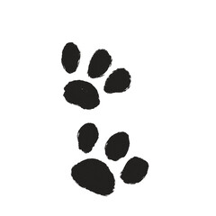 paw dog or cat isolated on transparent png